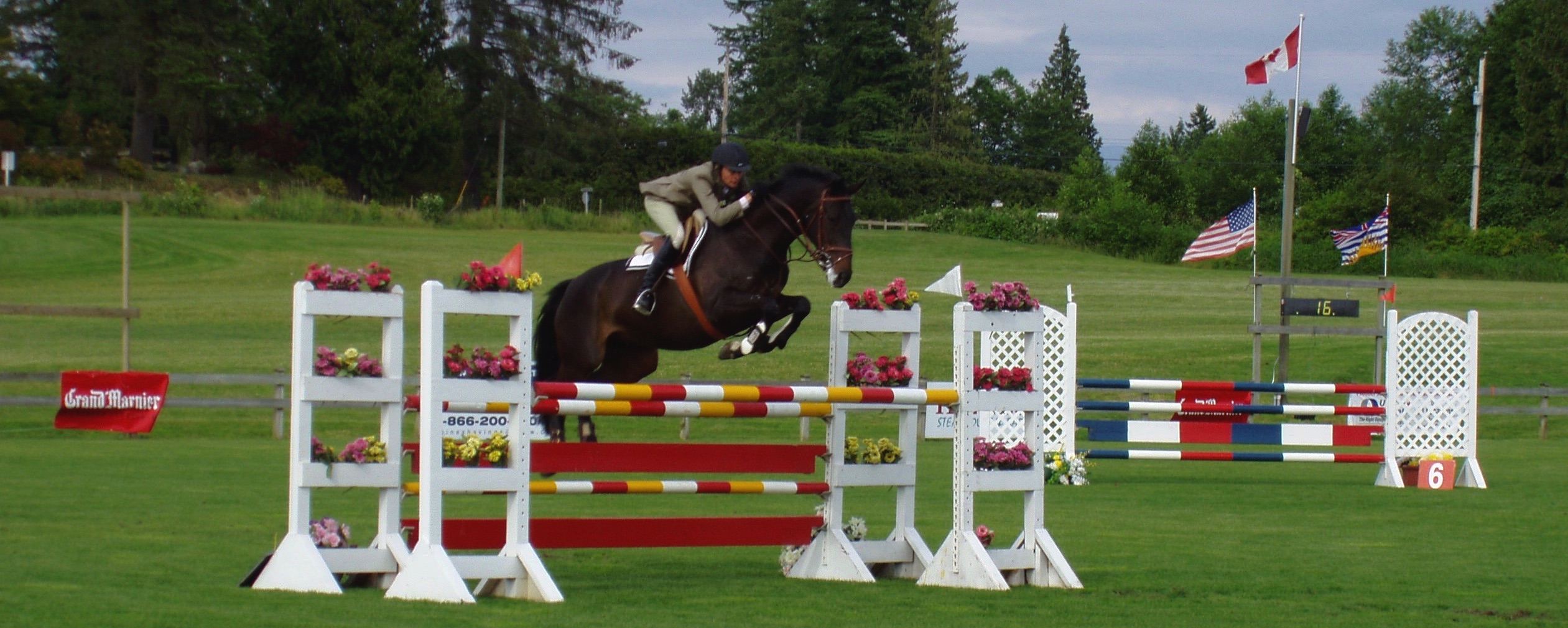 Safe, funfilled riding lessons, Equine Levels Twin Rivers Equestrian